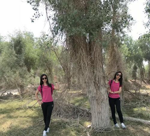 掌握高昌技能攻略，成就出色职业生涯（一探高昌技能攻略的奥秘，实现职场飞跃）