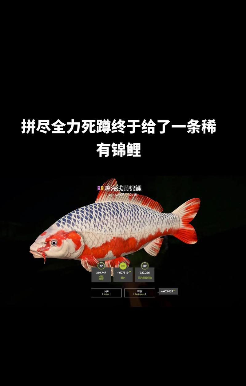 探究俄钓4技能点攻略（成为高手的关键是细节）