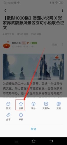龙空论坛最新版