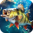 欢乐钓鱼大师九游版