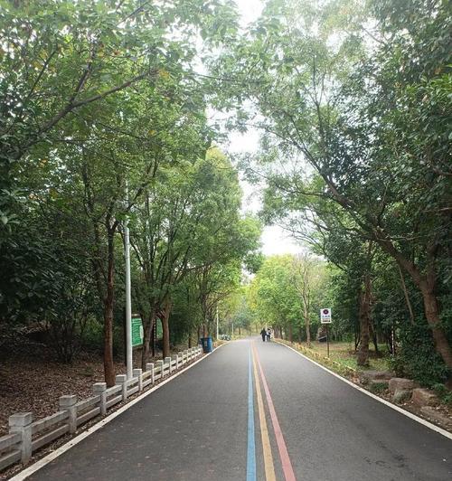 园子悟技能攻略（掌握园子悟技能的必备指南）