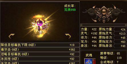 《绝世武林——天龙星宿武当技能搭配攻略》（发挥天龙和星宿、武当技能的最佳组合，征战江湖！）