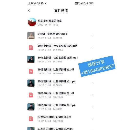 《奶爸技能扩展详解攻略》（掌握奶爸技能的关键要点，轻松成为顶级父亲）