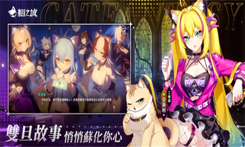 猫之城台服