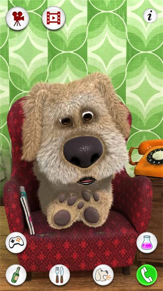 会说话的狗狗本无广告版