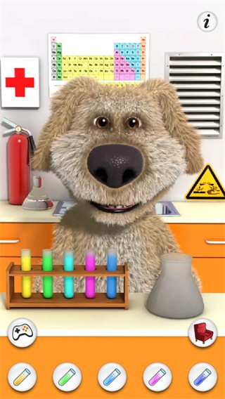 会说话的狗狗本无广告版