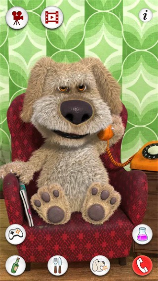 会说话的狗狗本无广告版