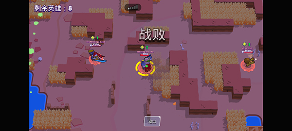 荒野乱斗私人服最新版2026