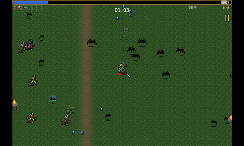 吸血鬼幸存者国际版