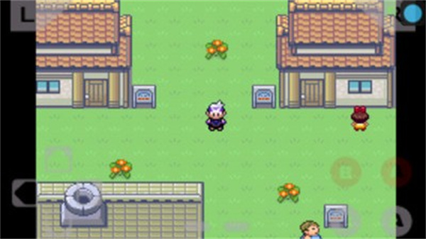 口袋妖怪绿宝石中文版