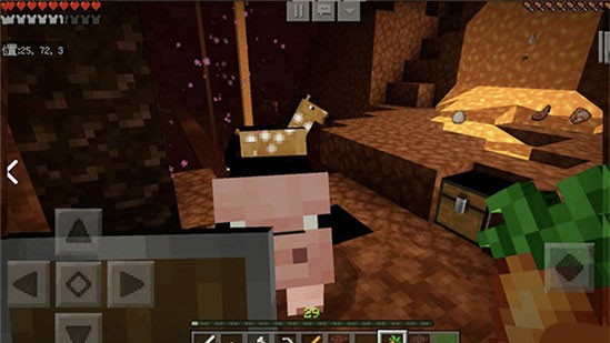 我的世界基岩版1.21