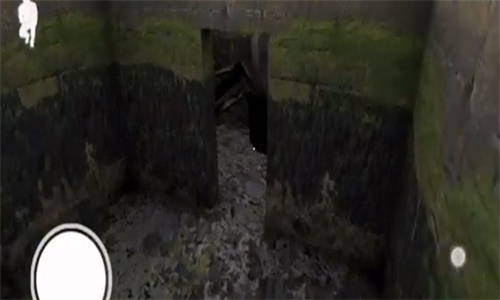 恐怖老奶奶无敌版