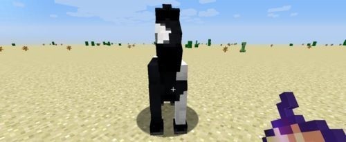 Minecraft我的世界国际版