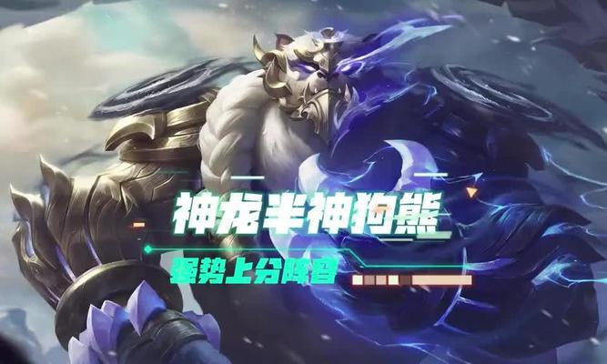 狗熊技能搭配攻略大全（探索狗熊技能的无限可能性）