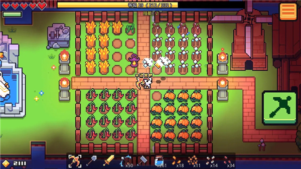 浮岛冒险官方正版