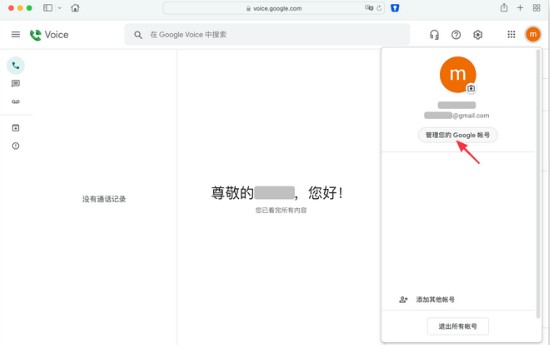 Google voice