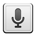 Google voice