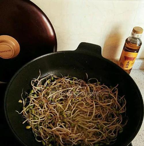 春季采集珊瑚岛美食的菜谱记录（发现大自然的味道，品味珊瑚岛的春日美食）