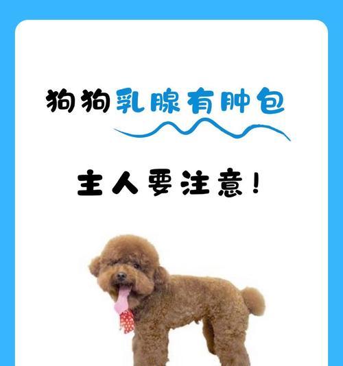 狗狗肿么了安装及配置说明（快速上手，让你的狗狗肿么了游戏畅玩无阻）