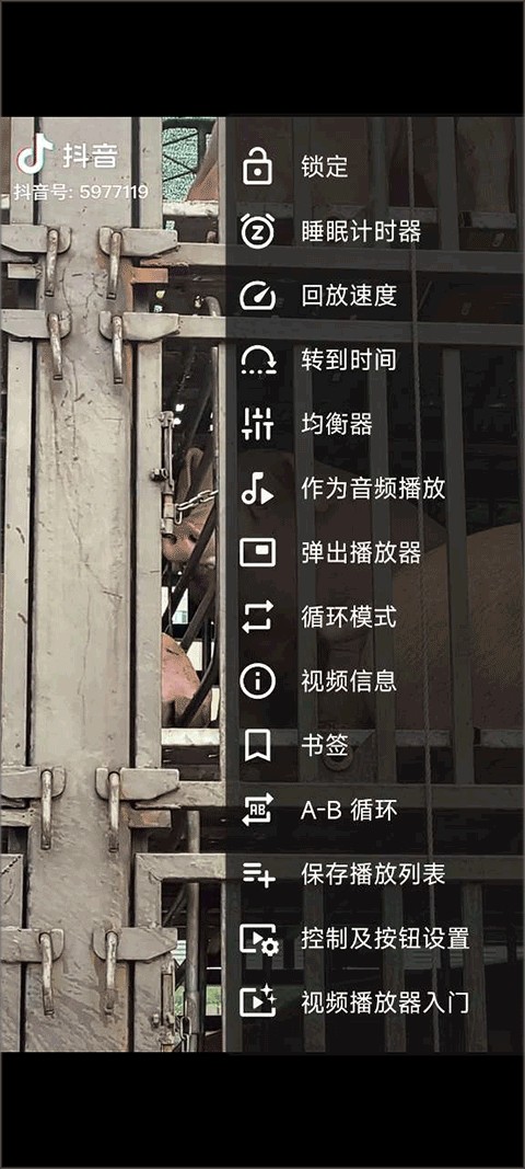 VLC播放器安卓版