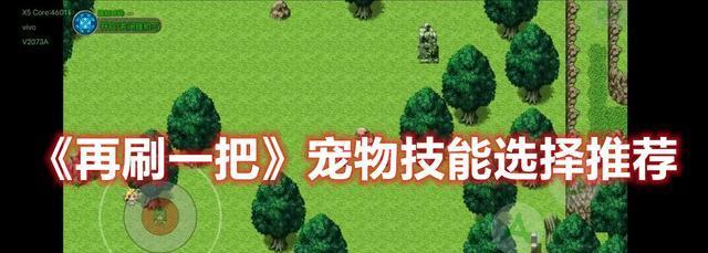 《利用宠物技能改造攻略图纸，打造强力队伍》（宠物技能改造攻略，提升战斗力助你一臂之力）