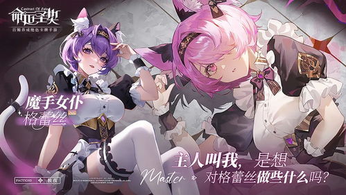 命运圣契华为服