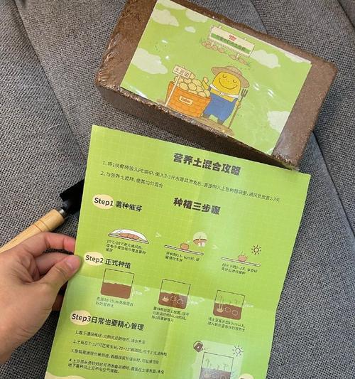 疯狂兔子人技能搭配攻略（打造最强兔子人团队，把敌人打得落花流水）