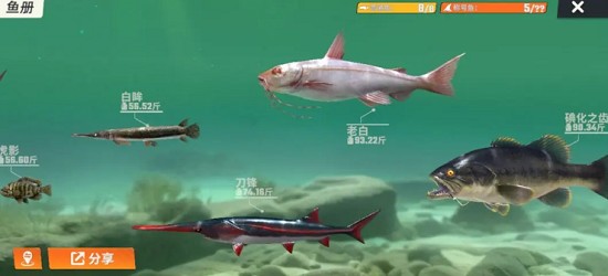 欢乐钓鱼大师华为版