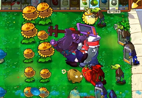 植物大战僵尸War版