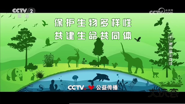 柠檬网络电视