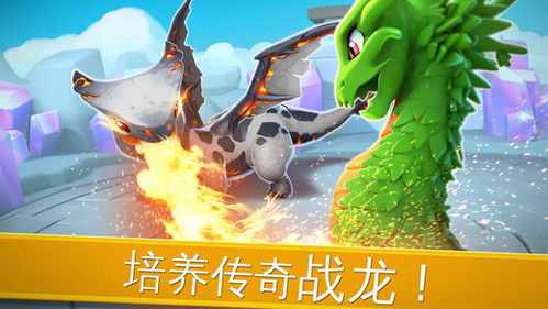 萌龙大乱斗单机版