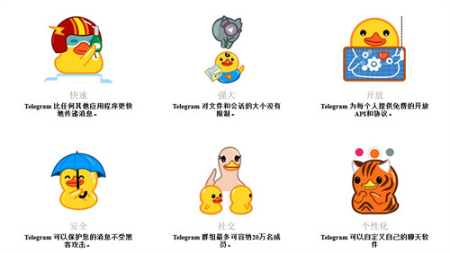 纸飞机(Teledyne)