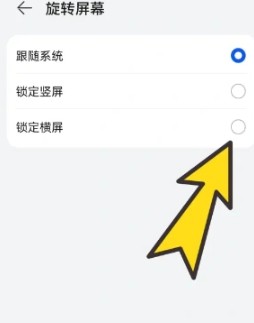 BoBo浏览器极速版