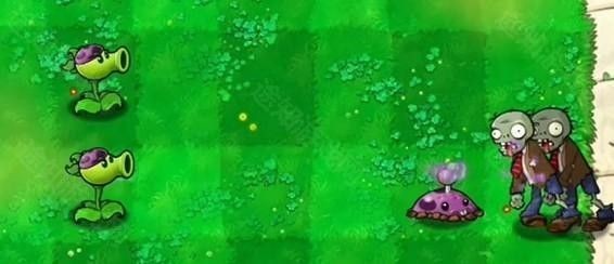 植物大战僵尸喵版