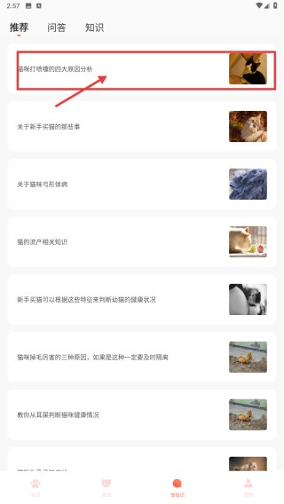 猫语翻译器