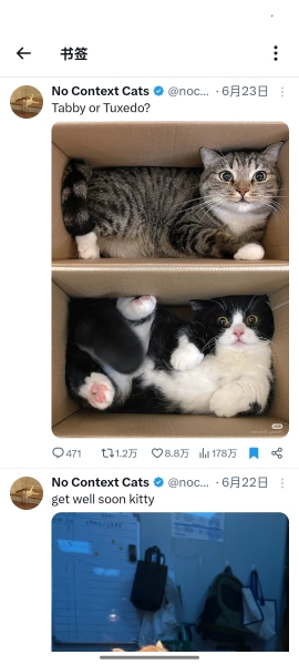 小蓝鸟X推特