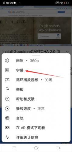 YouTube苹果版