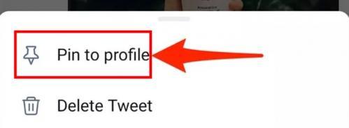 Twitter黑X推特