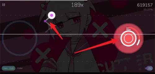 CYTOID国际服