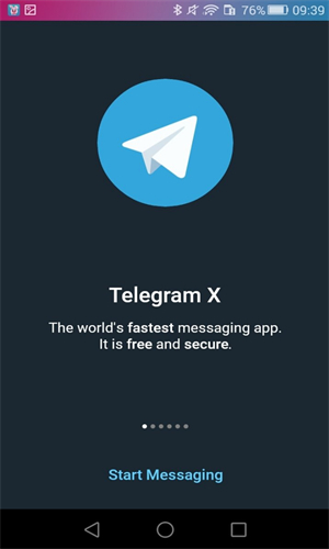 TelegeramX灰色版本