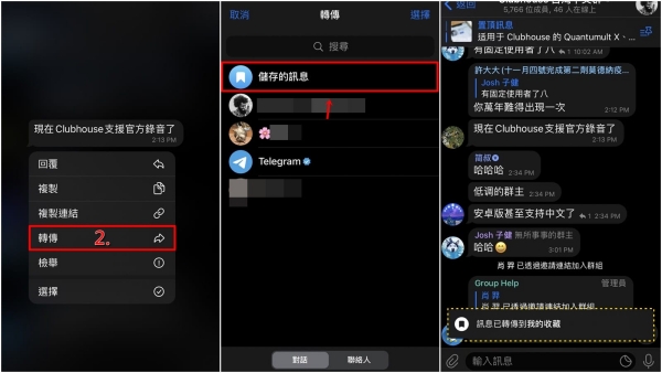 TelegeramX灰色版