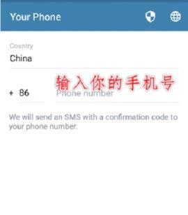 TelegeramX灰色版本