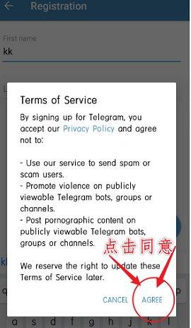 TelegeramX灰色版本