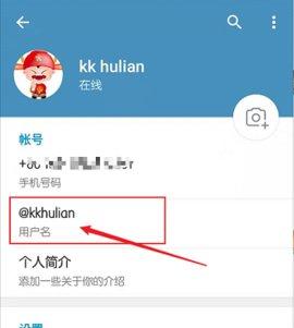 TelegeramX灰色版本