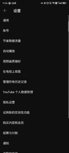 YouTube国内版