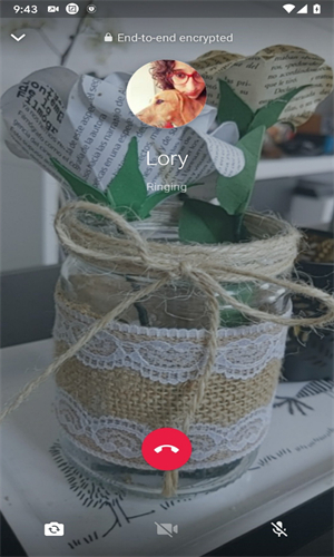 WhatsApp苹果版