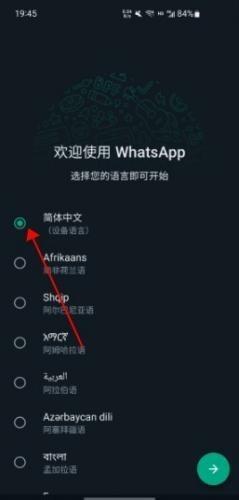 WhatsApp苹果版