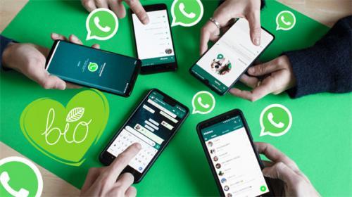 WhatsApp苹果版