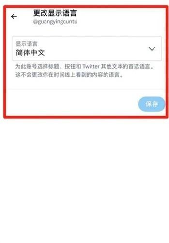 小蓝鸟TwitterX