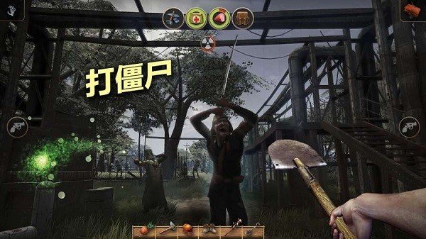 辐射岛高级版